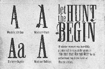 Winchester Condensed Font