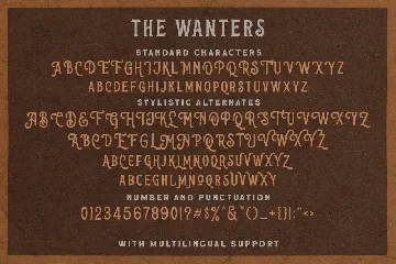 The Wanters - Display Typeface font