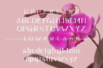 Valenteen Font