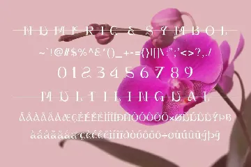 Valenteen Font