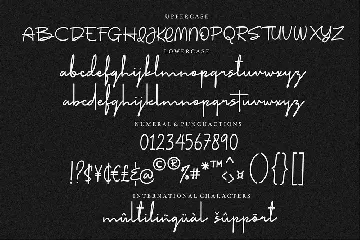 The Stylist | Modern Signature Font