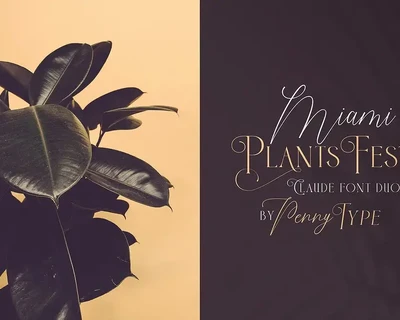 Claude Font Duo