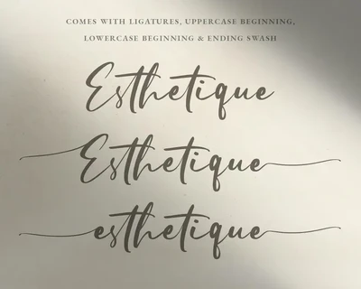 Oliver Blush Calligraphy Modern Wedding Font