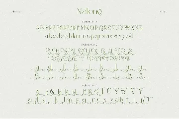 Mallong Typeface font