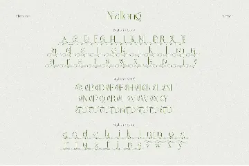 Mallong Typeface font
