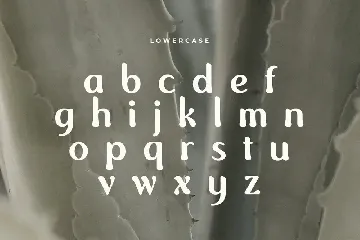 Foghe - Unique Vintage Display Font