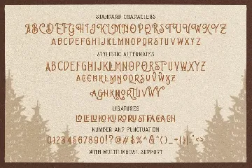 Brown Chunkers - Display Typeface font