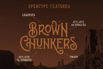 Brown Chunkers - Display Typeface font