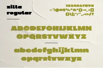 Zilla - Chunky Display font