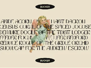 Bucker font