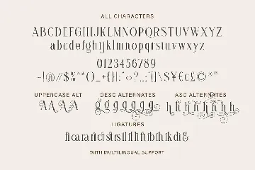 Brilliantly - A Stylish Serif font