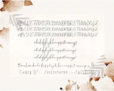 Cartines Signatures font