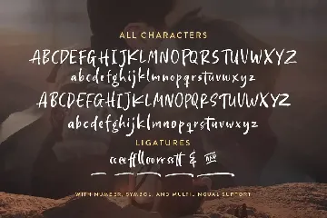 Hopkins Angela - Handwritten Font