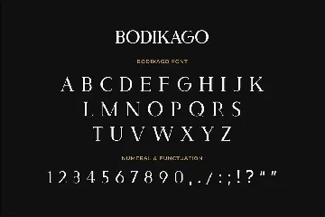 Bodikago Luxury Serif Font