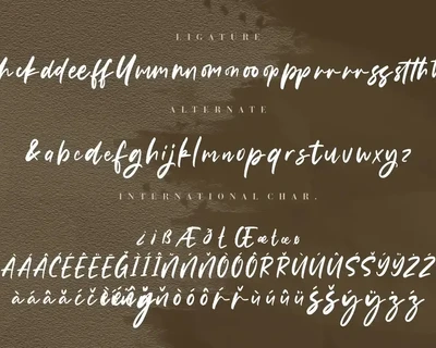 Samanthy Stylish Brush Script font