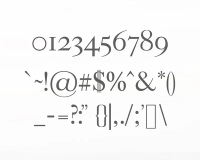Adallyn Serif Font Family Pack