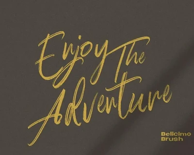 Balecimo - Ordinary Brush Font Logotype