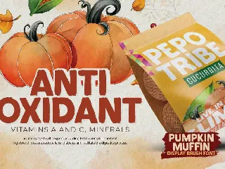 Pumpkin Muffin - Display Brush Font