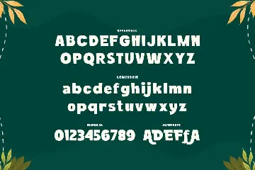 Nomadic - Bold Sans Typeface font