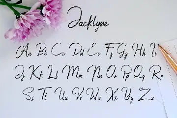 Jacklyne - Dry Brush Typeface Font