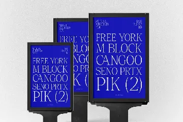 Cas Magakoro Display Serif font