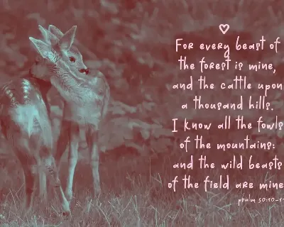 Dear Deer Font