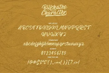 Billskates Script font