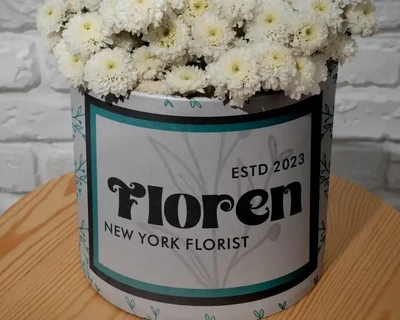 Central Vintage - Display Font