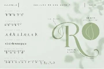 Rallomy Nature Beauty Serif font