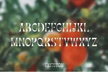 Trenton - Stencil Display font