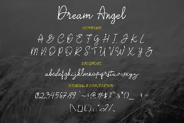 Dream Angle font