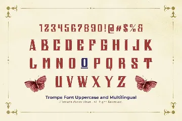 Trompe - Serif Vintage Displat Font