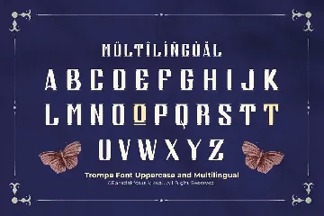 Trompe - Serif Vintage Displat Font