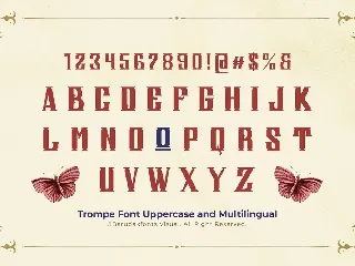 Trompe - Serif Vintage Displat Font