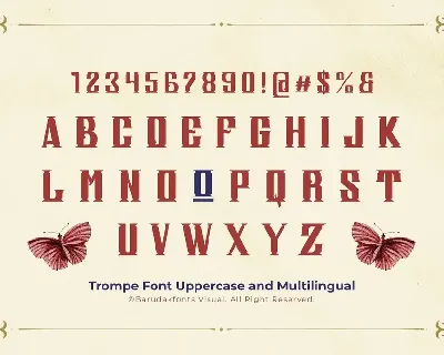 Trompe - Serif Vintage Displat Font