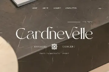 Gavtella - A Unique Serif Typefae font