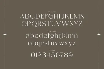 Gavtella - A Unique Serif Typefae font