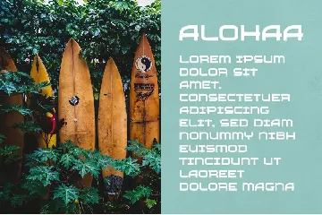 Boomerang - Hawaiian Typeface font