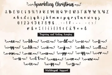 Sparkling Christmas - Hand Letter Script Font