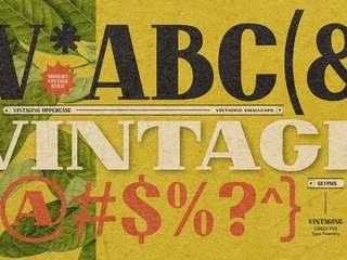 Vintaging Typeface font