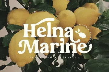 Quinnie - Vintage Retro Serif Font