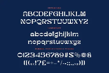 Bird King Retro Serif font