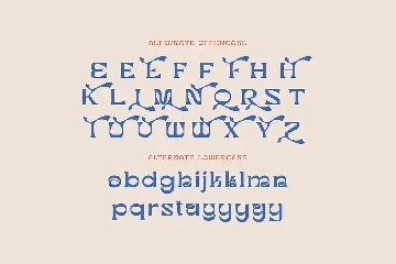 Bird King Retro Serif font