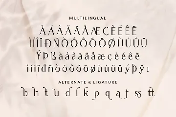 Qapitaly font