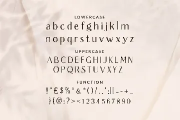 Qapitaly font