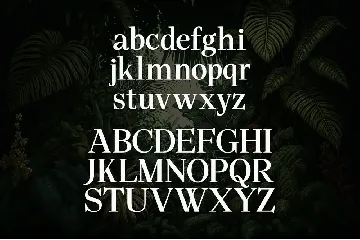 Avalar - Elegant Display font