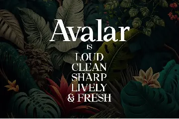 Avalar - Elegant Display font