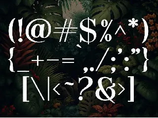 Avalar - Elegant Display font