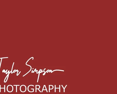 Untitled Artwork Signature Font