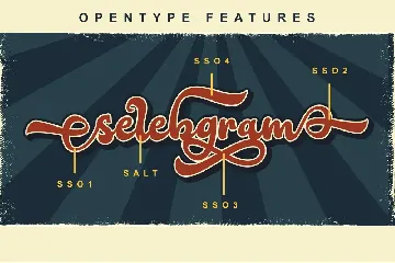 Holicya Retro Vintage Script Font